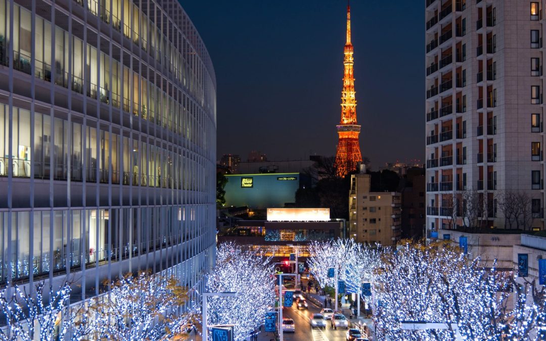 Magische Weihnachtsbeleuchtungen: Ein Leuchten, das Japan verzaubert